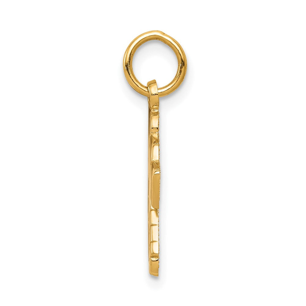 10K Hockey Charm