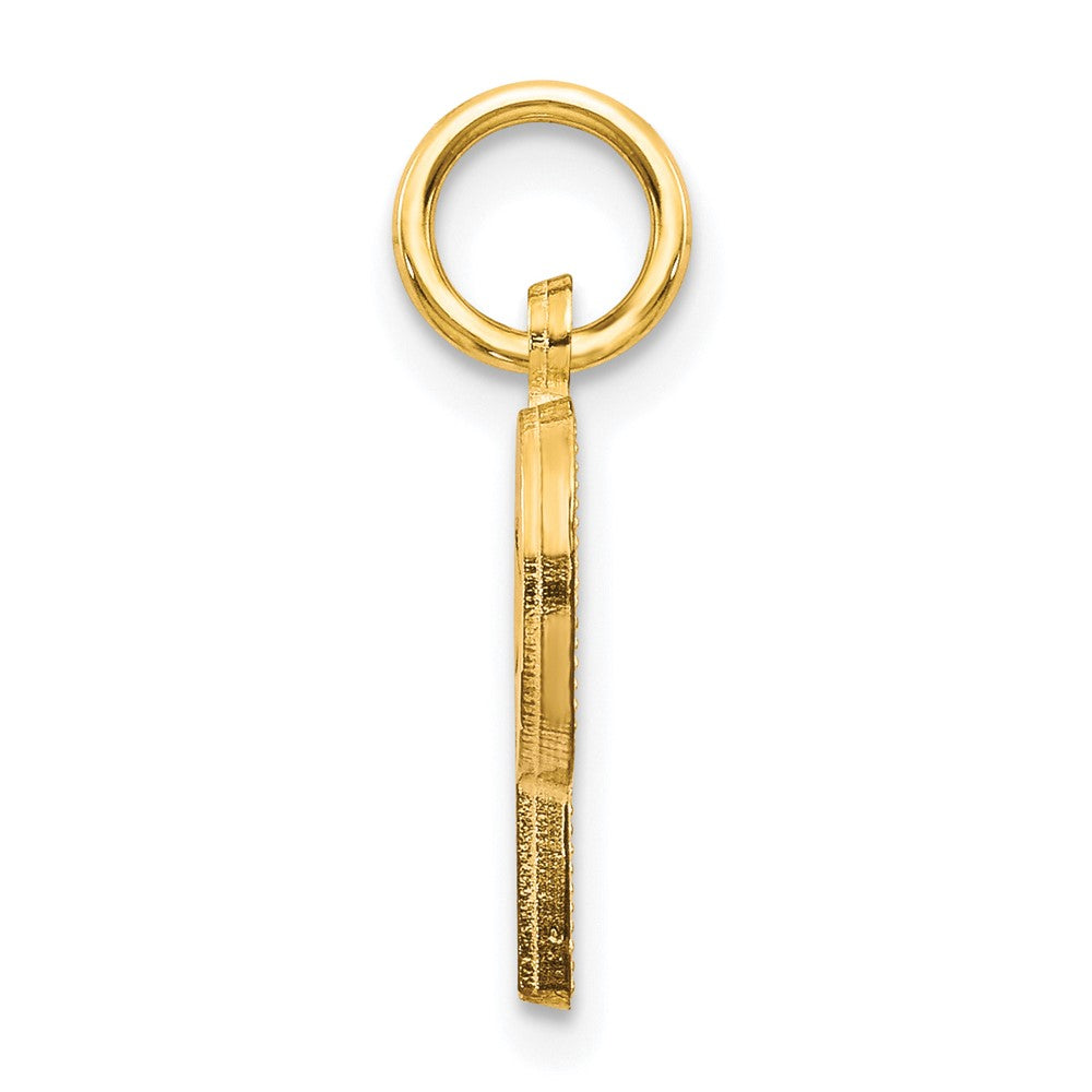 10k Initial P Charm