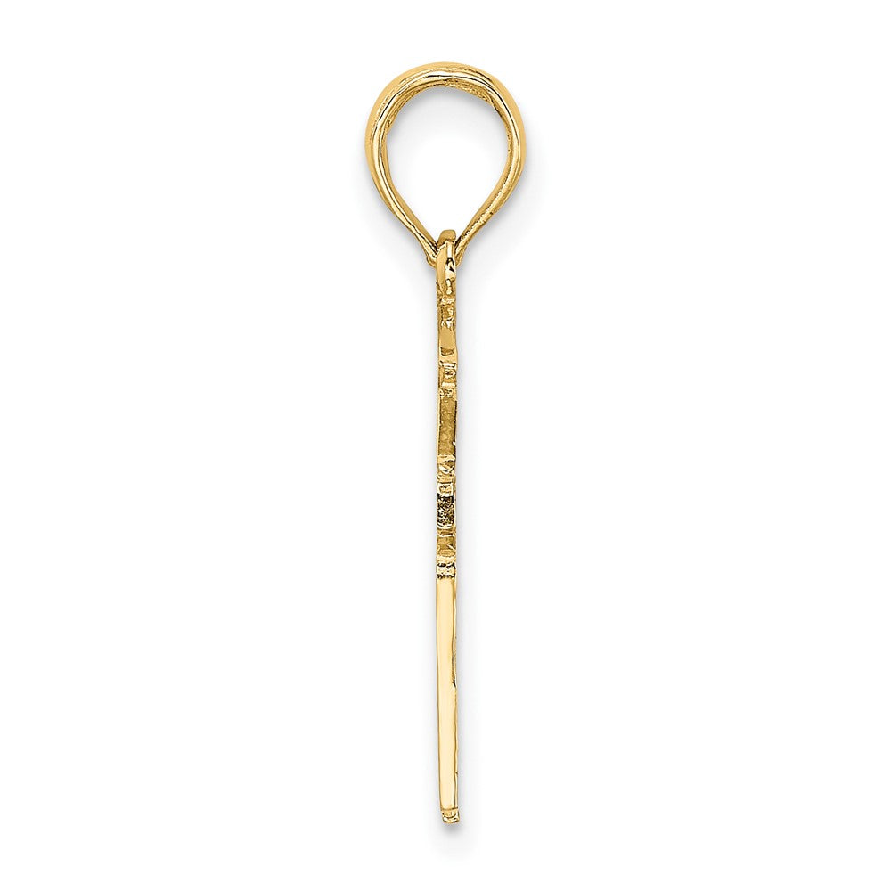 10k Registered Nurse Charm