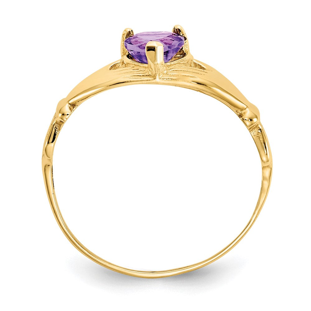 10k CZ February Birthstone Claddagh Heart Ring