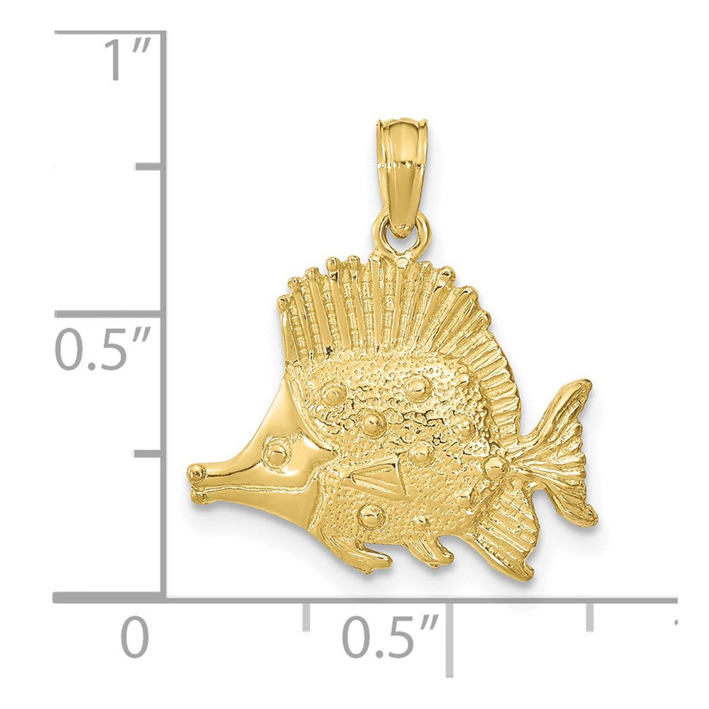 10K Polished Engraved Fish Charm
