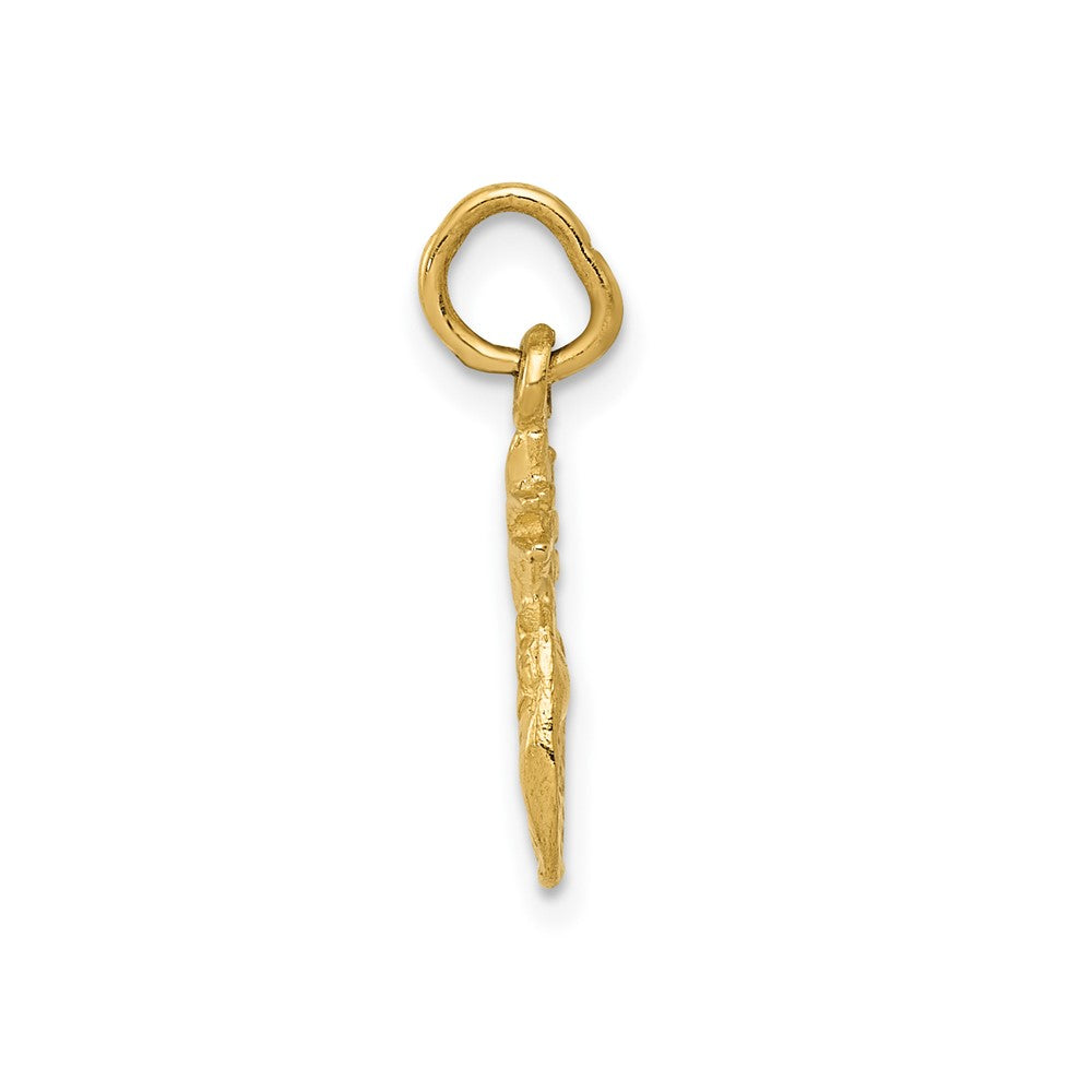 10k Polished Pineapple Charm