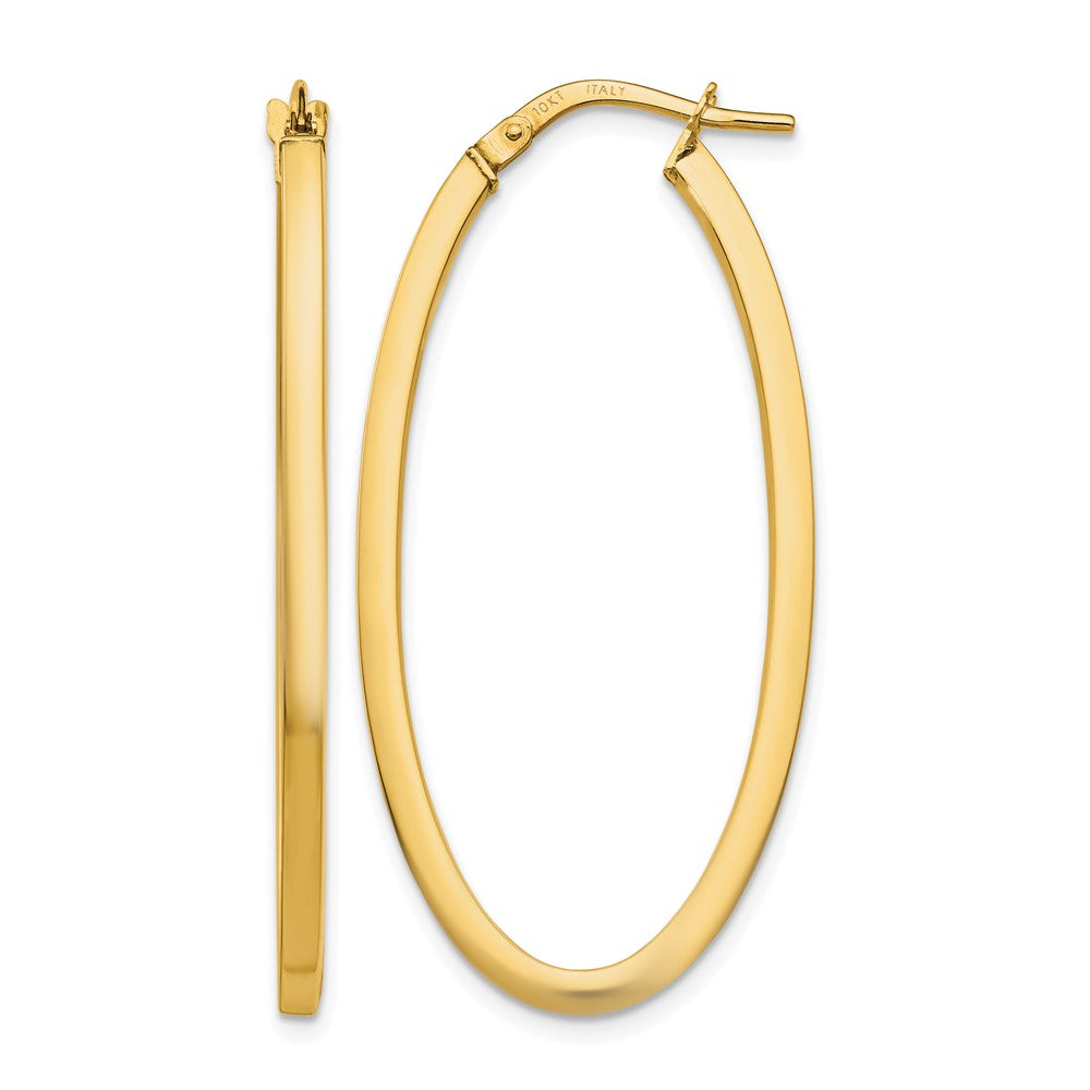 Polished;10K Yellow gold;Oval;Hinged hoop