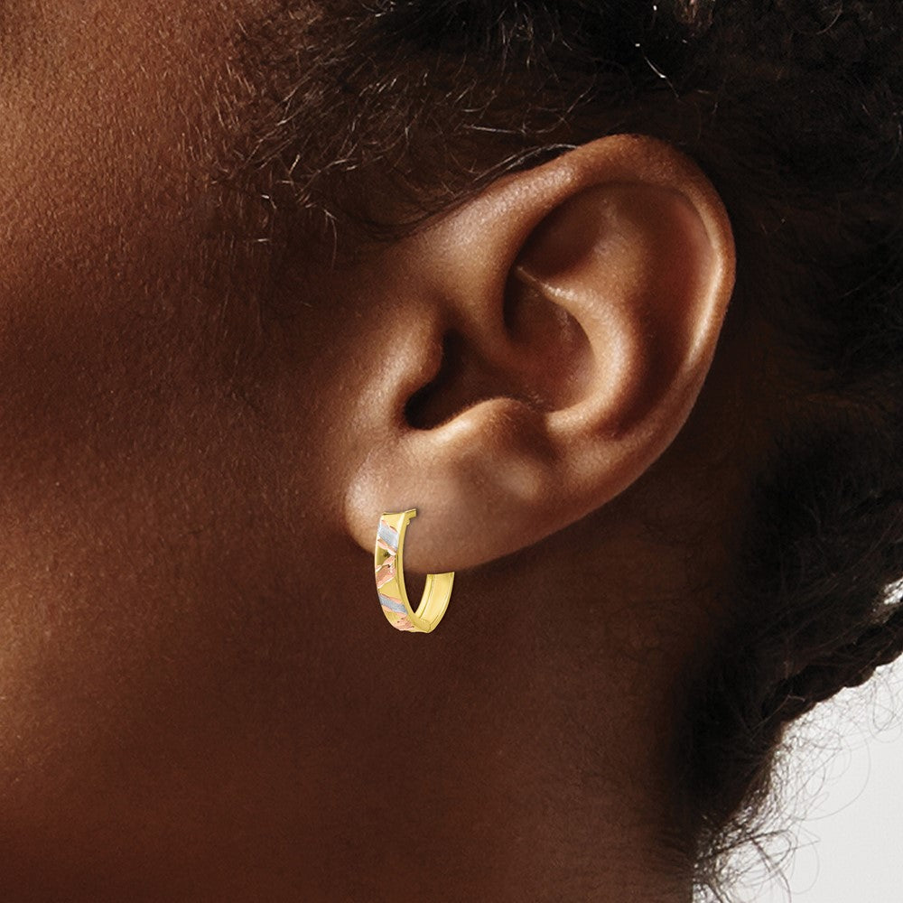 10K Two-tone with White Rhodium Polished and Satin D/C Earrings