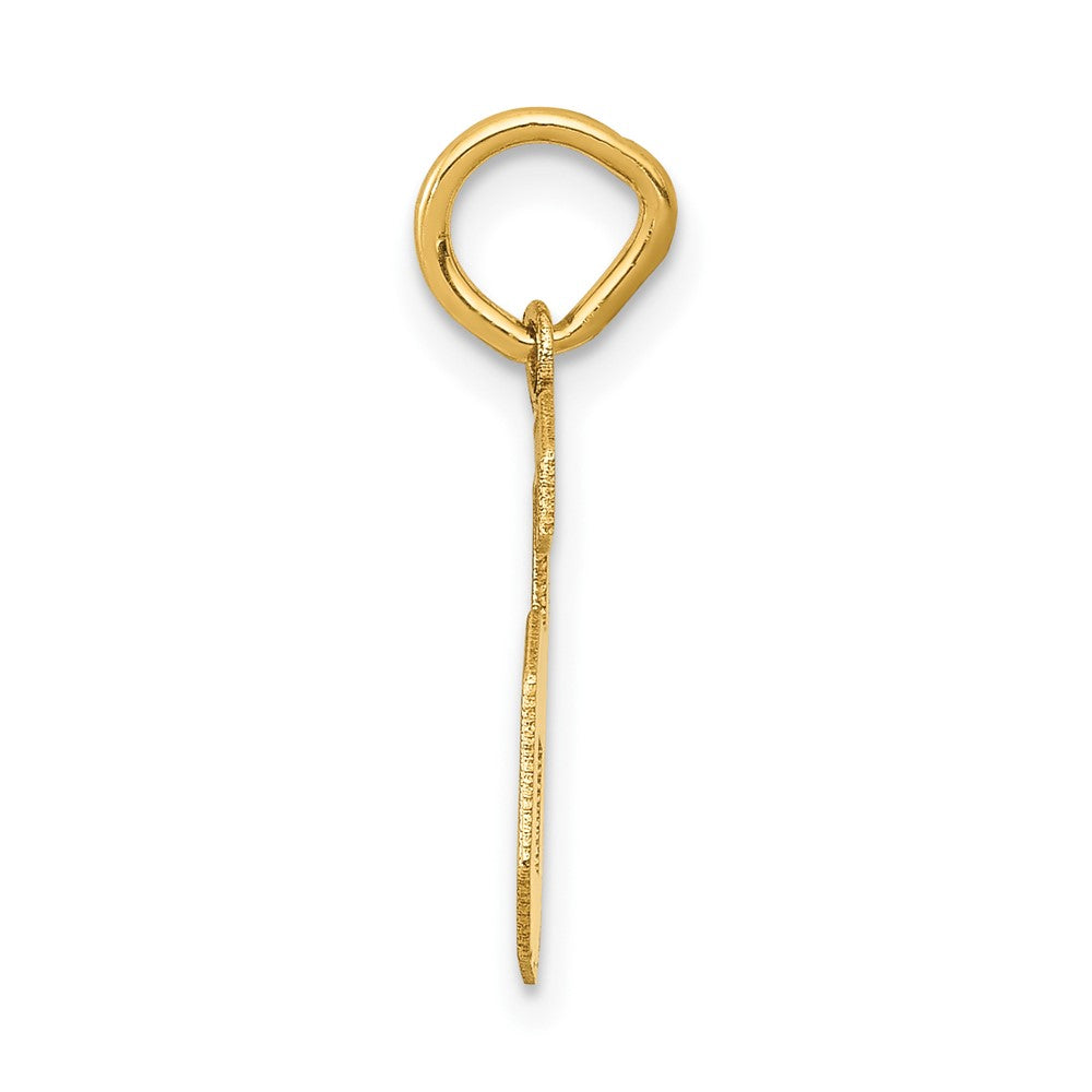 10k Small Satin Number 6 Charm