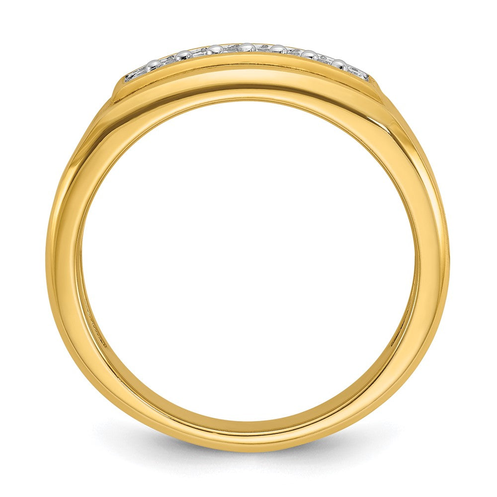 10k IBGoodman Men's Polished 2-Row Ring Mounting