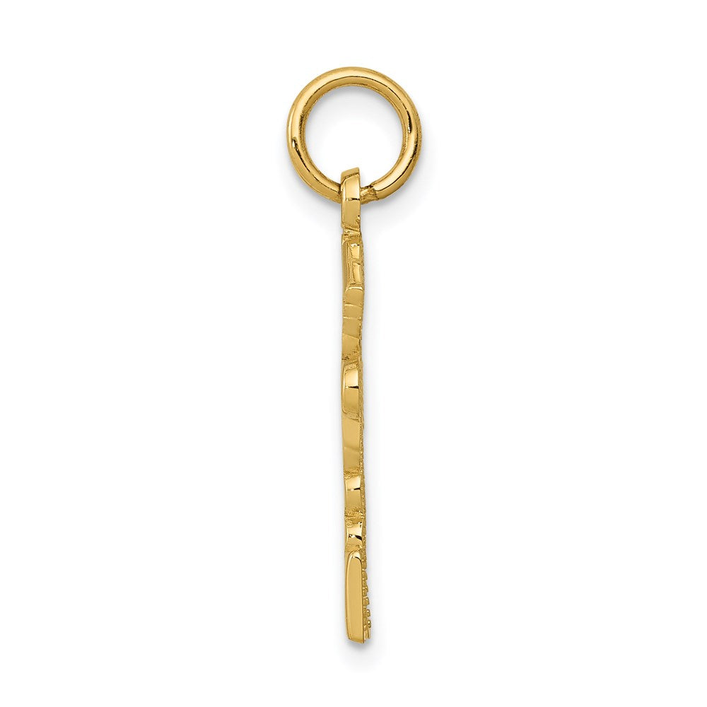 14k RNP Registered Nurse Practitioner Charm
