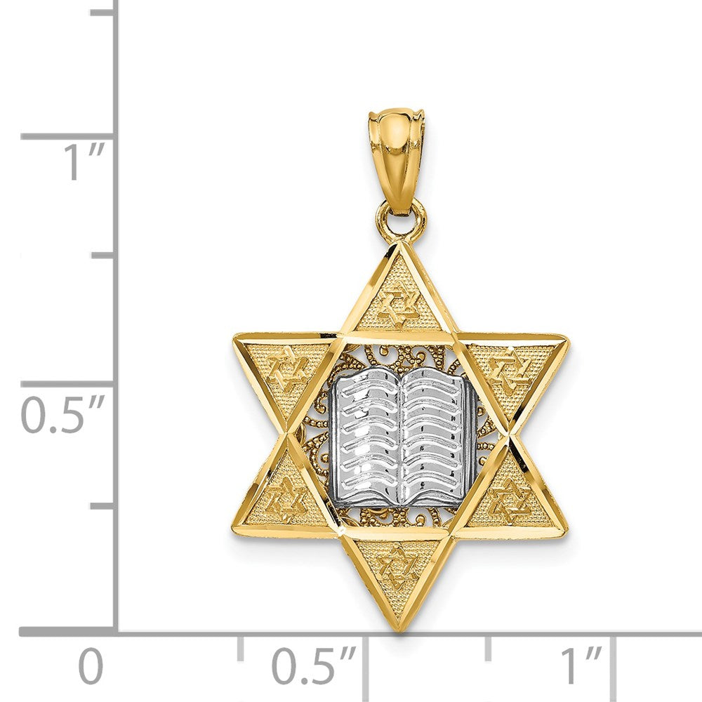 14k Two-tone Star of David and Torah Pendant
