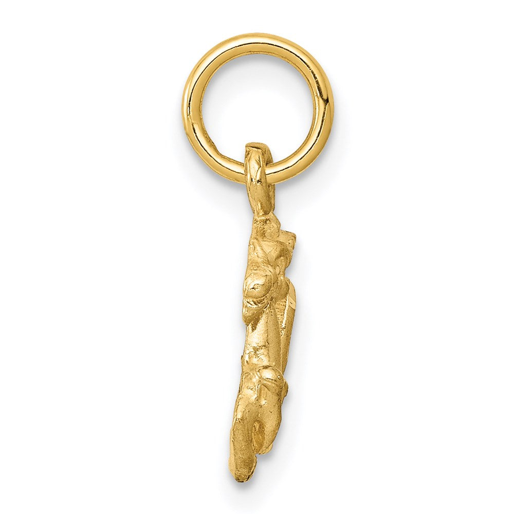 14k Satin Diamond-cut Capricorn Zodiac Charm