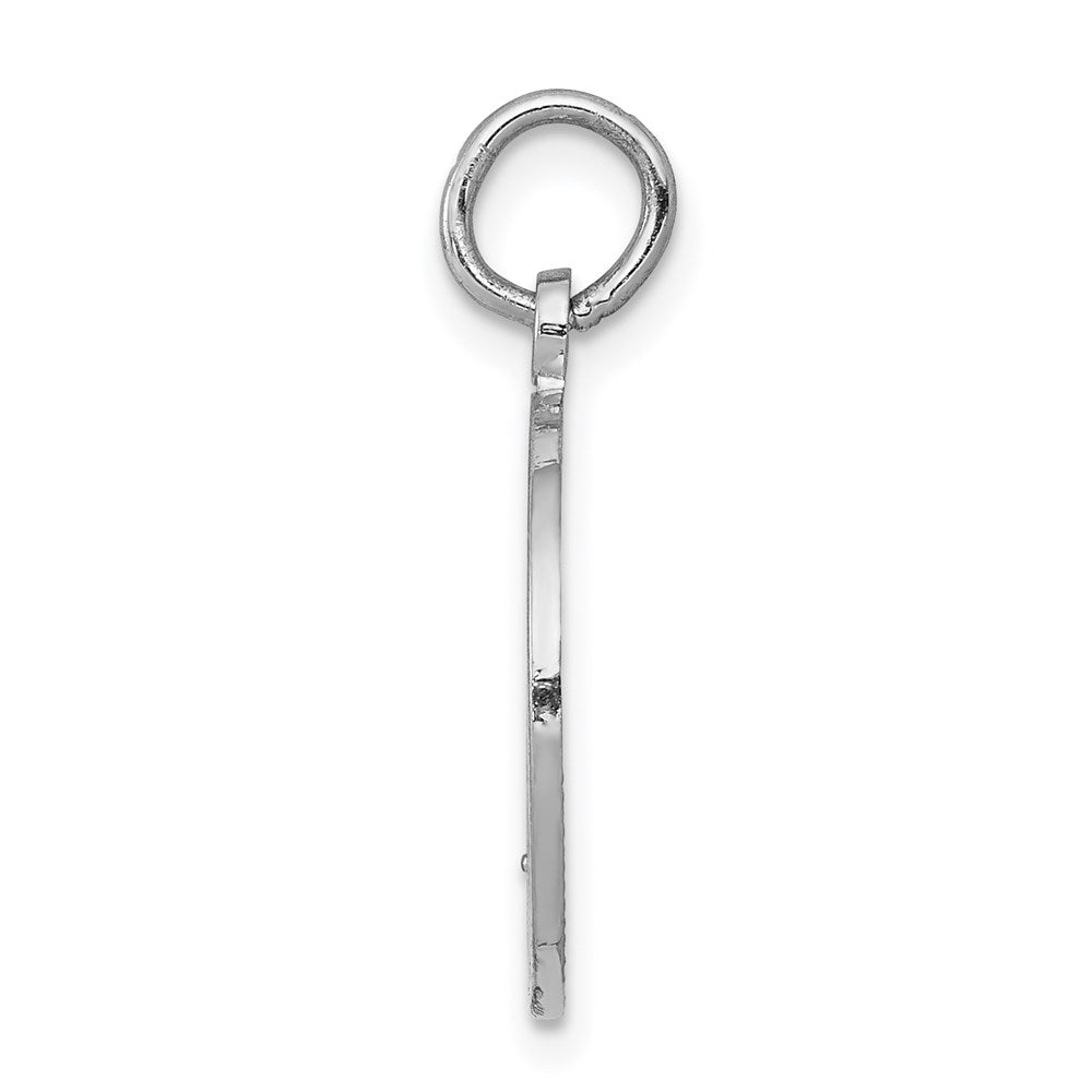 14k White Gold Satin and Polished COMMUNION Round Disc Charm