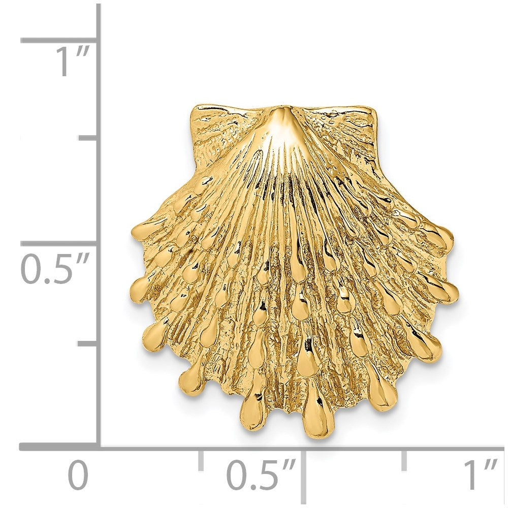 14k Small Lion's Paw Shell Omega Slide