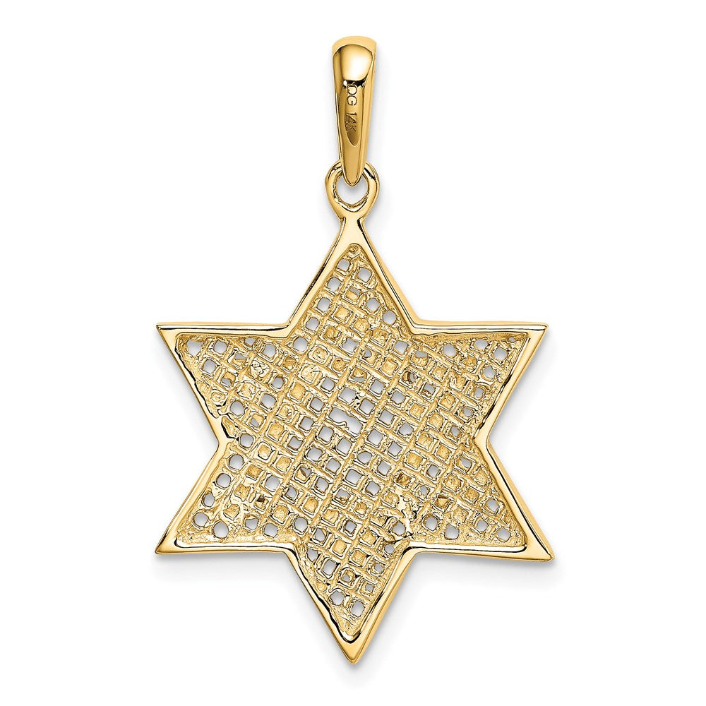 14K and White Rhodium Solid Mesh Star Of David Charm