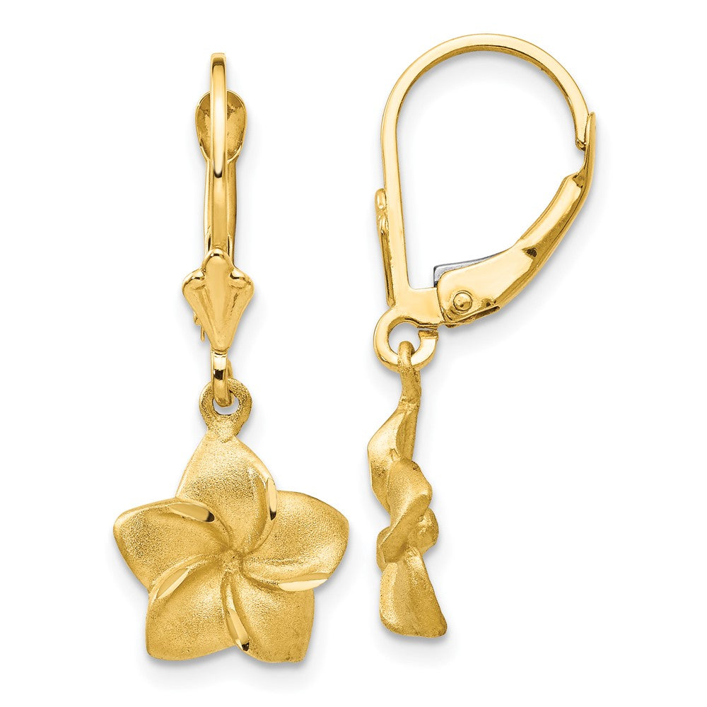 Solid;Casted;Diamond-cut;Polished;Satin;14k Yellow gold;Leverback