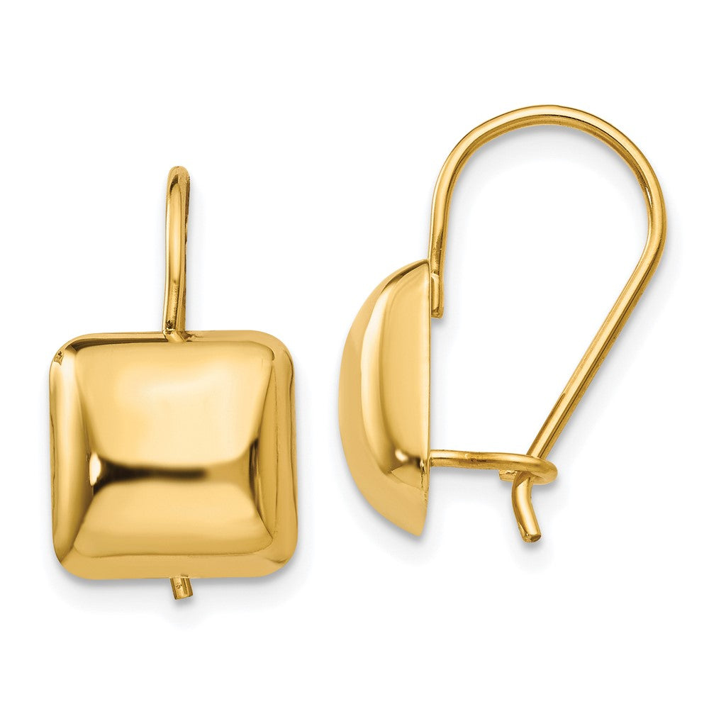 Polished;14k Yellow gold;Kidney wire