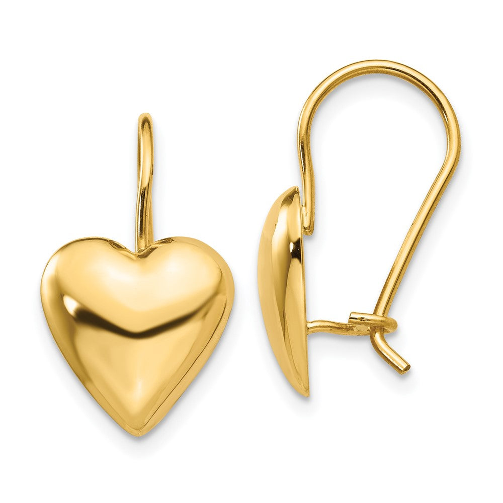 Polished;14k Yellow gold;Kidney wire