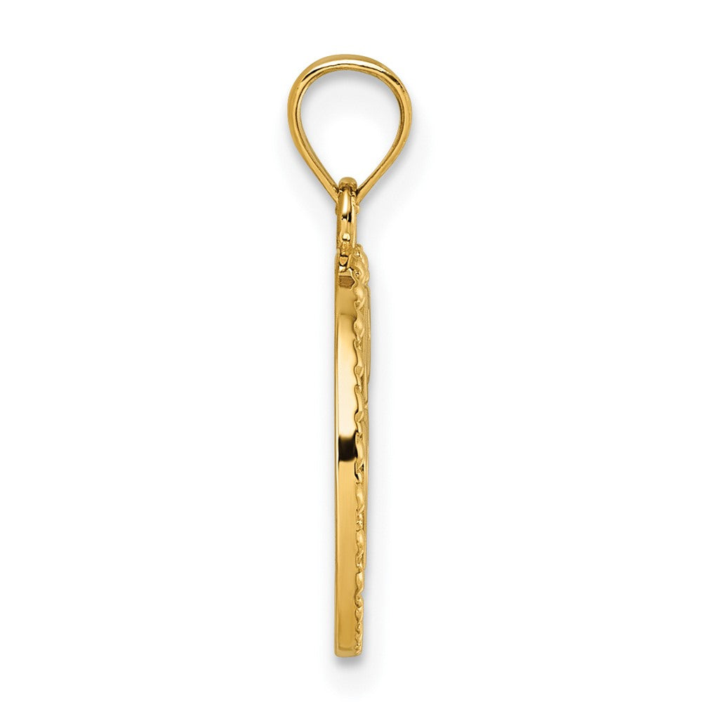 14k Polished Heart/Evil Eye/Horseshoe In Circle Pendant