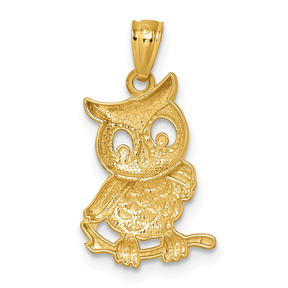 14k and White Rhodium Polished and Textured Owl Pendant