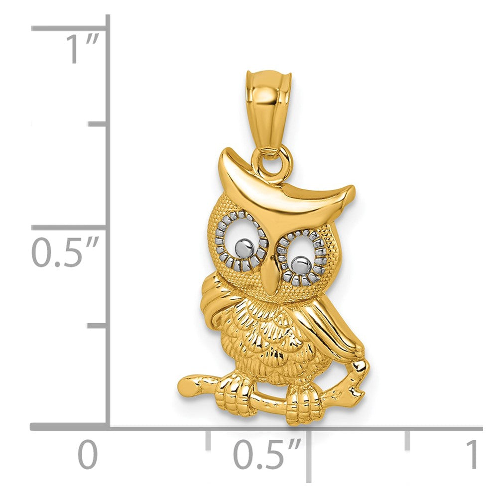 14k and White Rhodium Polished and Textured Owl Pendant
