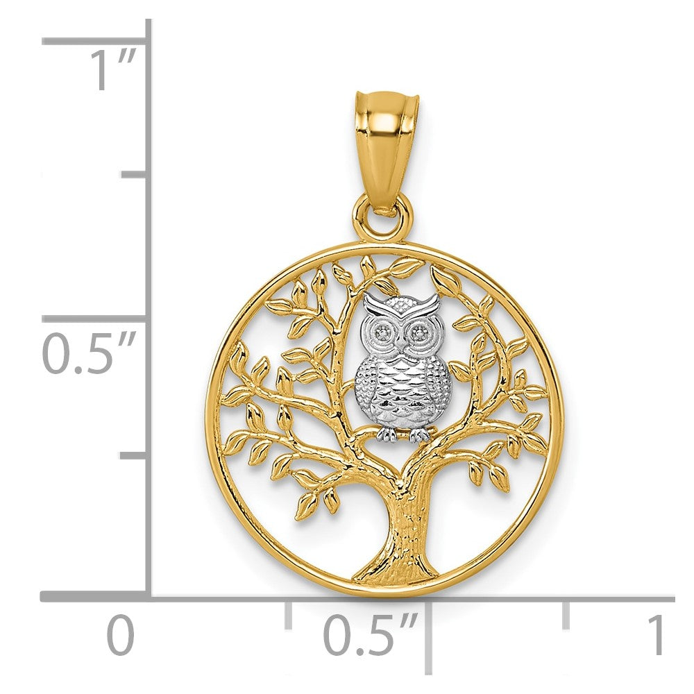 14k and White Rhodium Textured Owl Sitting In Tree In Circle Pendant