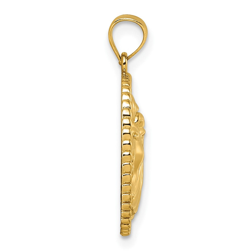 14k Polished Lion with Mane in Textured Circle Pendant