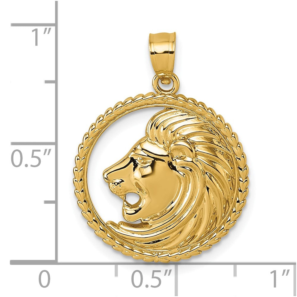 14k Polished Lion with Mane in Textured Circle Pendant