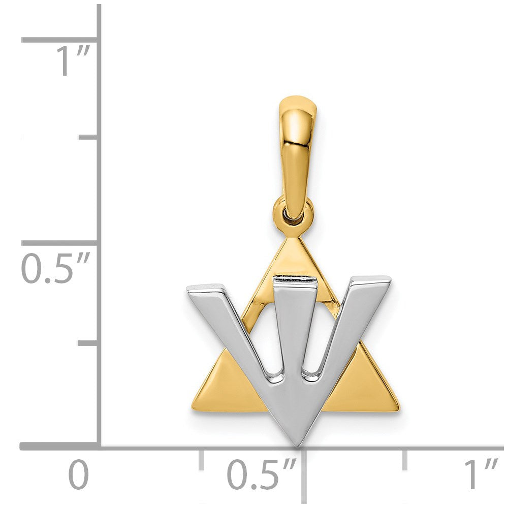 14K Two-tone Star of David with Shin Symbol Charm