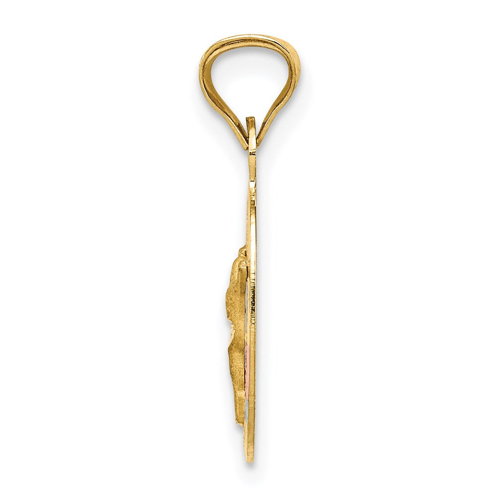 14K with Rose and White Rhodium Diamond-cut Corpus Oval Pendant