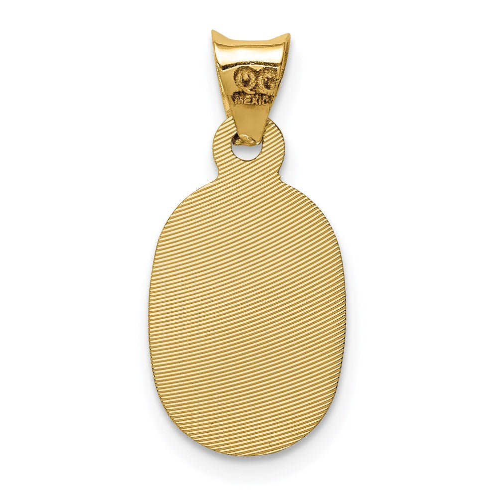 14K with Rose and White Rhodium Diamond-cut Solid Our Lady Of Guadalupe Oval Pendant
