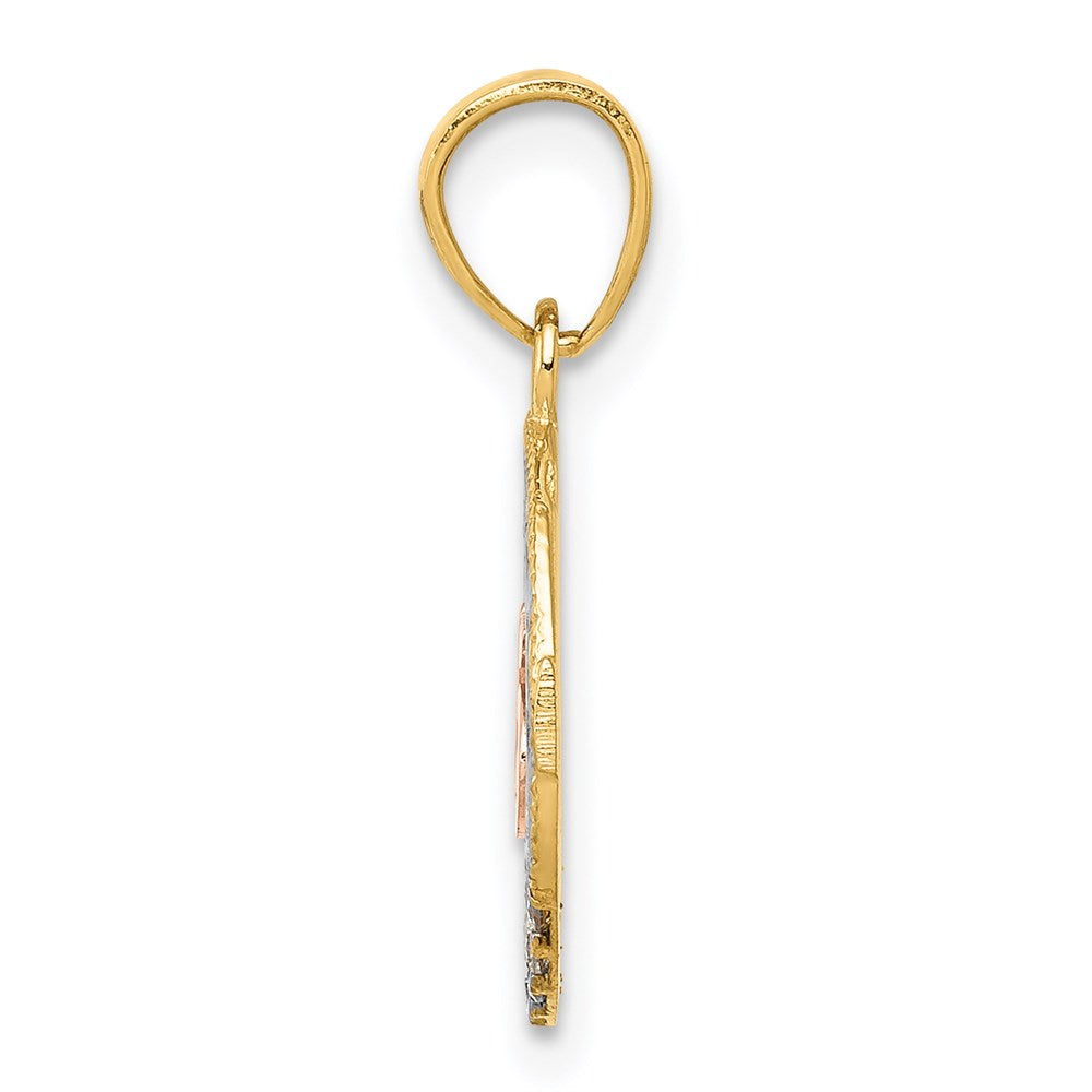 14k Two-tone with White Rhodium CZ 15 in Circle Pendant