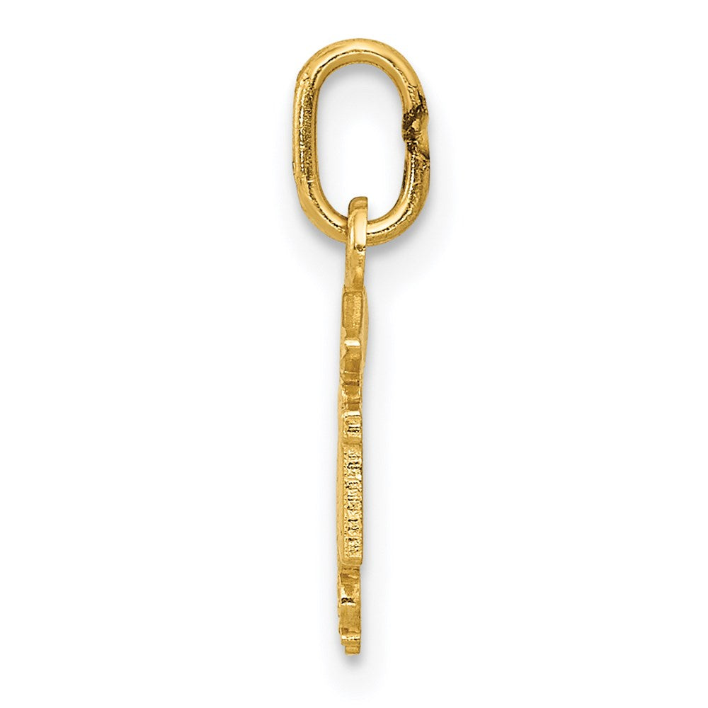 14k Diamond-cut Polished RN Registered Nurse Pendant