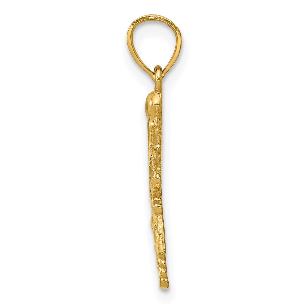 14k Diamond-cut RN Registered Nurse Pendant