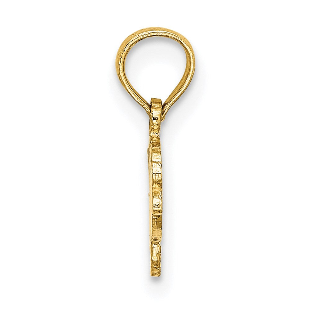 14K Flat Textured Playful Fish Charm