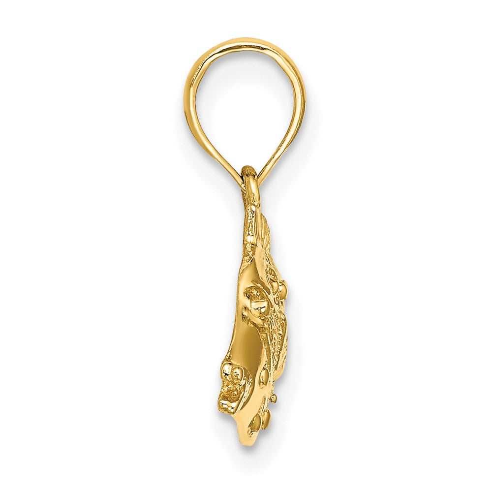 14K 2-D Polished Textured Humu Humu Fish Charm