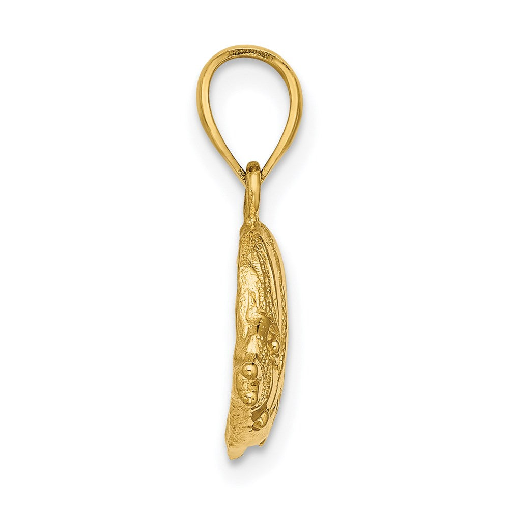 14K 2-D Polished Textured Bannerfish Charm