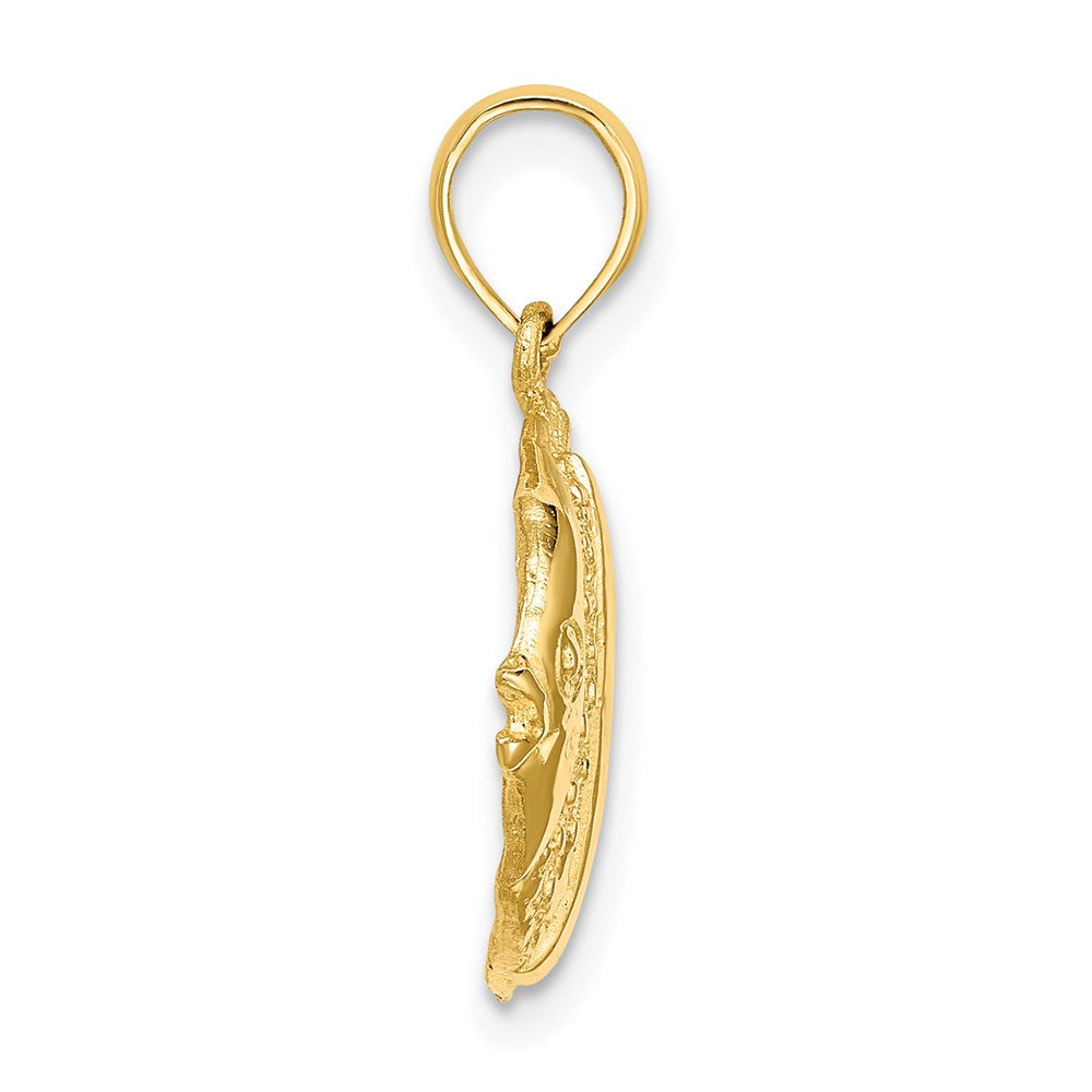 14K Polished  Textured Butterfly Fish Charm