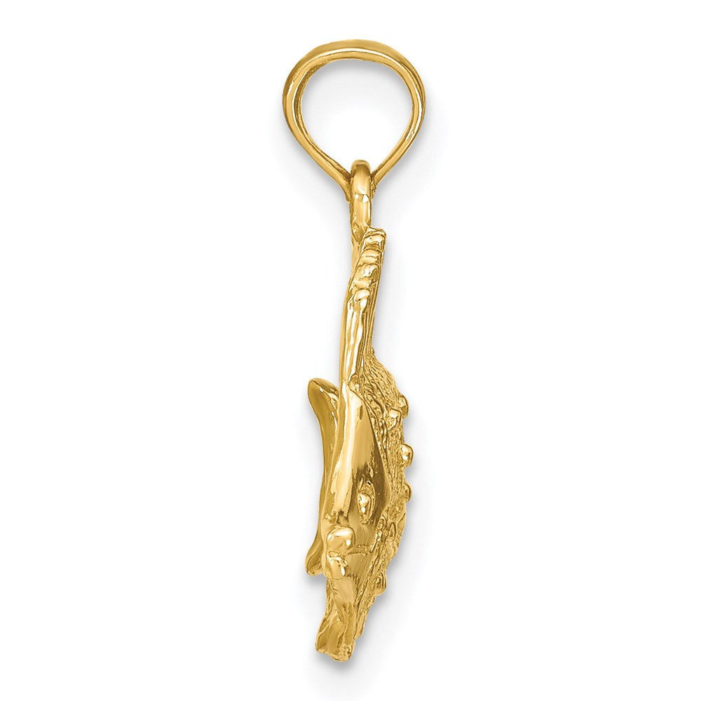 14K Polished Textured Butterfly Fish Charm