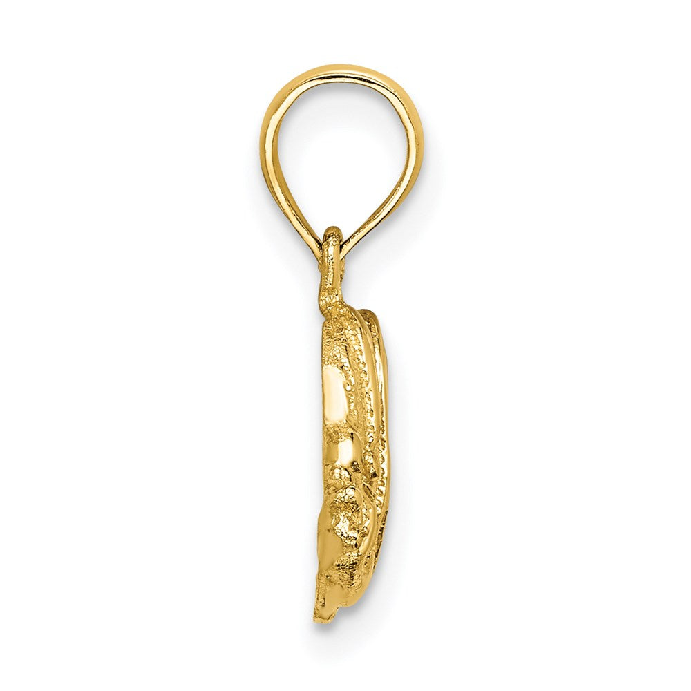 14K Polished Textured Bannerfish Charm