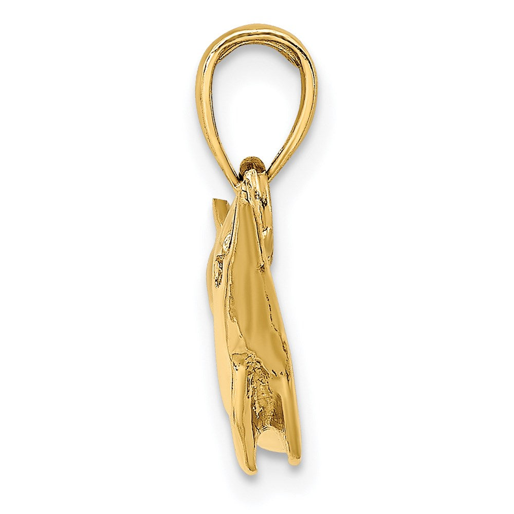 14K Polished Dolphin Charm