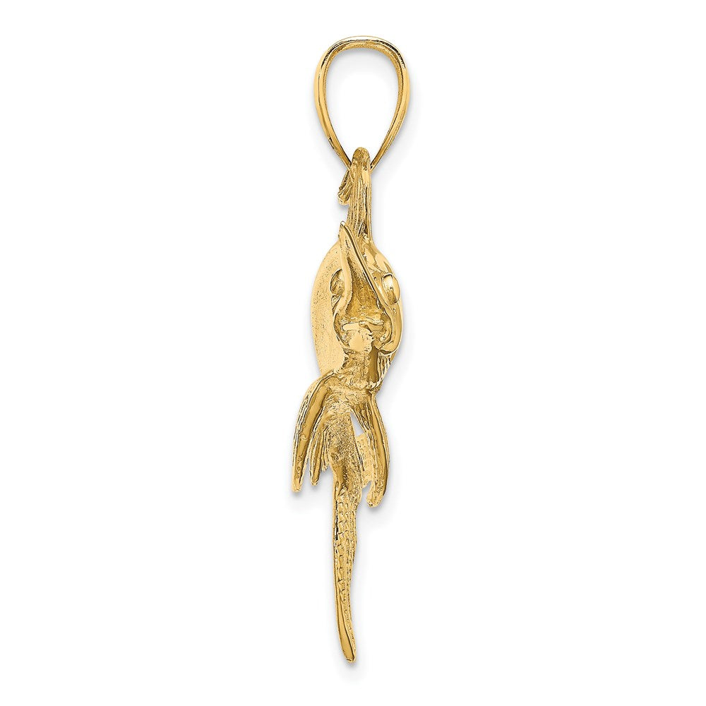 14K Large 2-D Polished and Satin Swordfish Charm