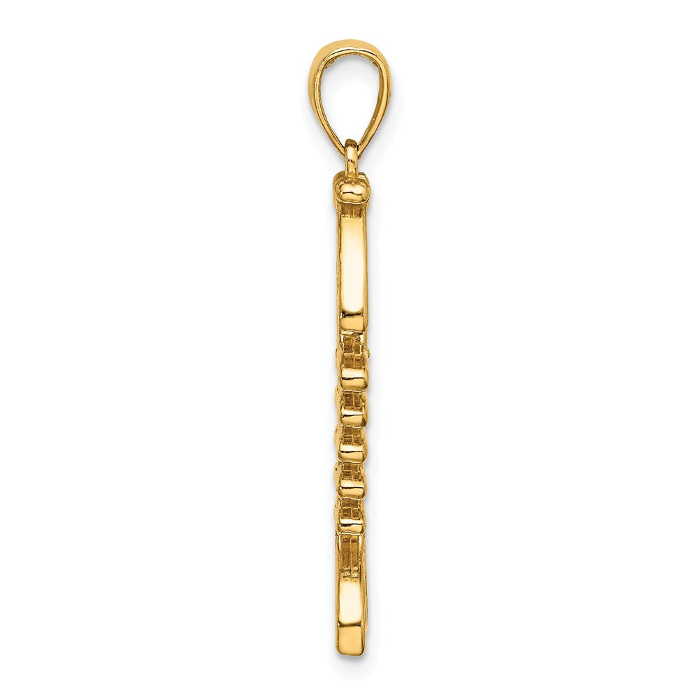 14K 3-D Polished and Textured Fishbone Charm