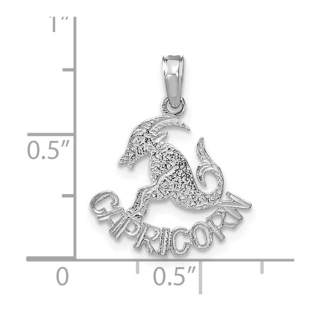 14k White Gold CAPRICORN Zodiac Charm