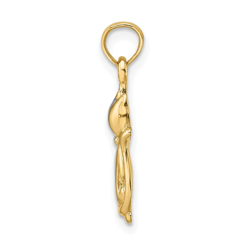 14k and White Rhodium Polished Cat and Kitten Charm