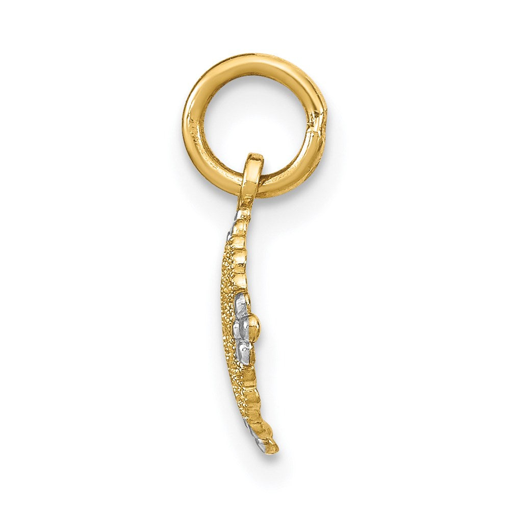 14K and White Rhodium Diamond-cut Mini Filigree Medallion Charm