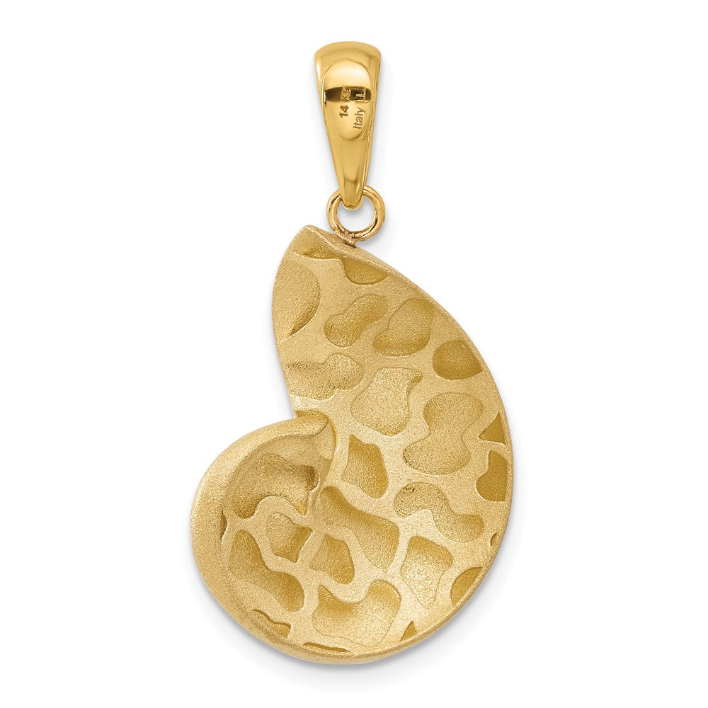 14k Satin D/C Nautilus Shell Pendant