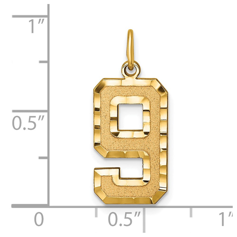 14k Large Brushed Diamond-cut  Number 9 Charm