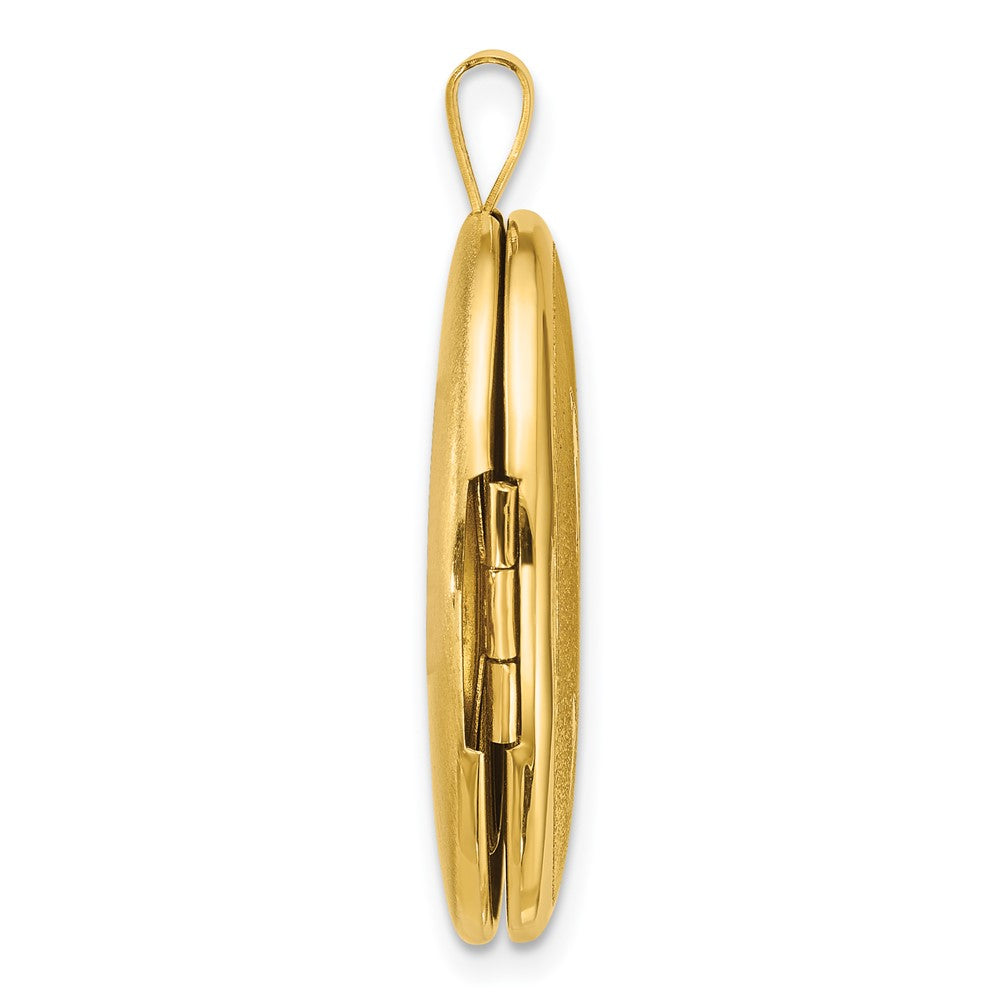 Sterling Silver Gold-plated Polished Front/Brushed Back Two Dolphins 20mm Oval Locket