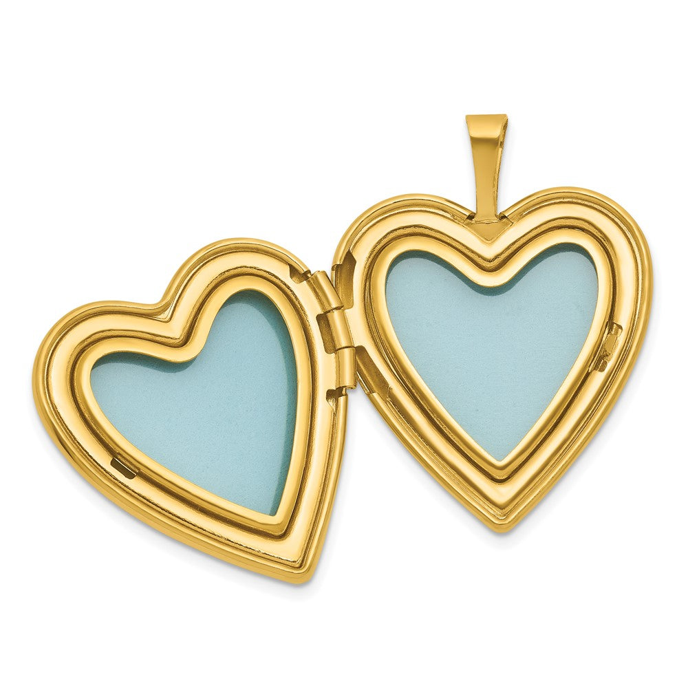 Sterling Silver Gold-plated Polished Front/Brushed Back Pink Rose Resin Cameo 20mm Heart Locket