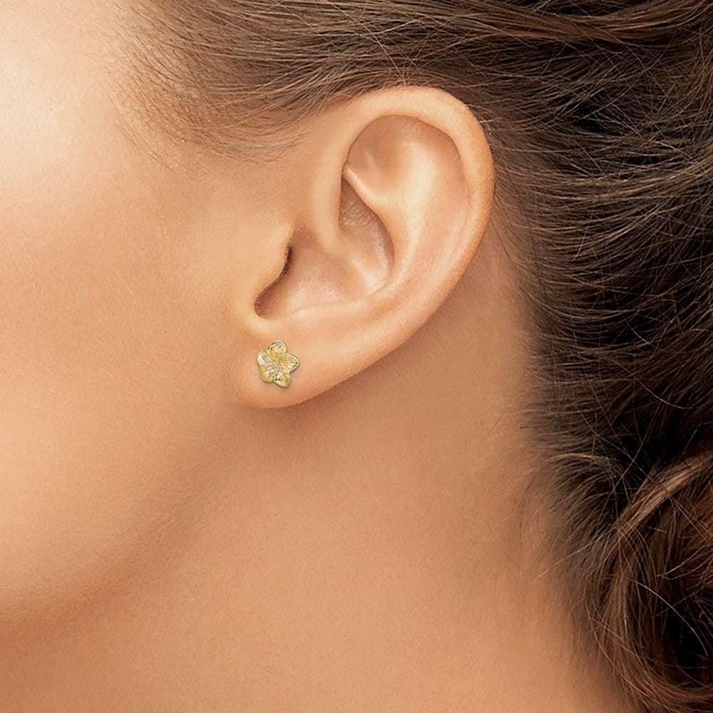 14K Plumeria Flower Post Earrings