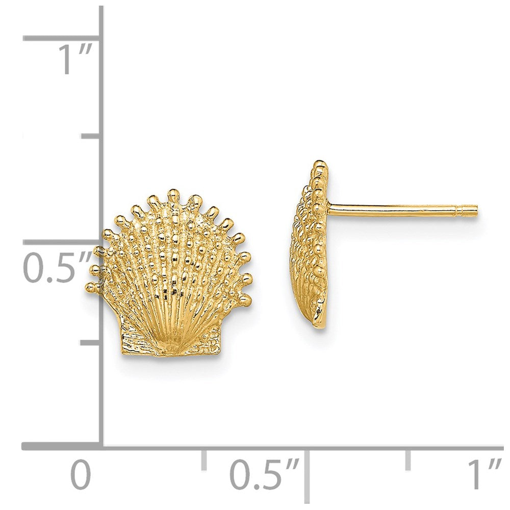 14K Beaded Scallop Shell Post Earrings