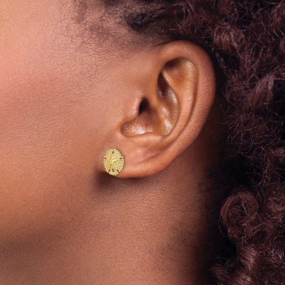 14K Textured Sand Dollar Post Earrings